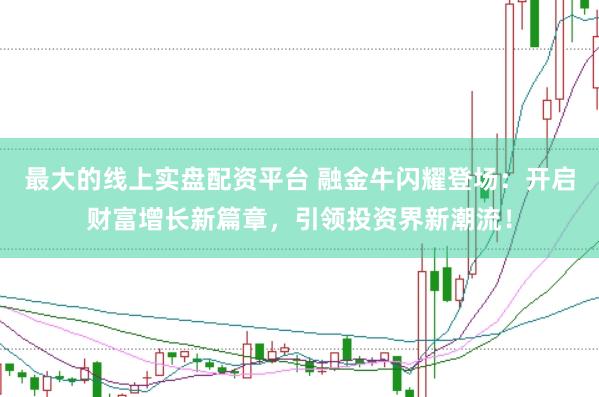 最大的线上实盘配资平台 融金牛闪耀登场：开启财富增长新篇章，引领投资界新潮流！