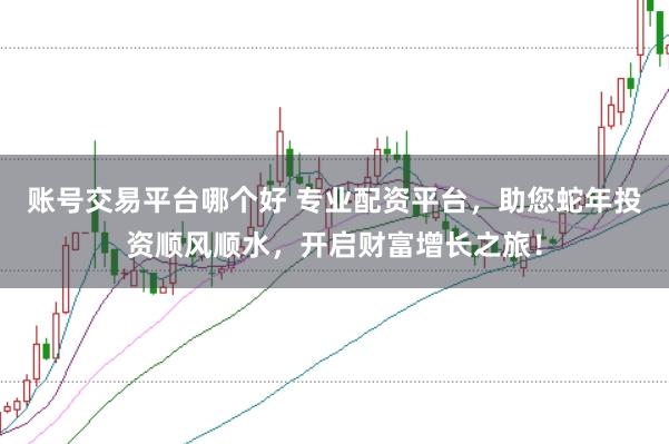 账号交易平台哪个好 专业配资平台，助您蛇年投资顺风顺水，开启财富增长之旅！