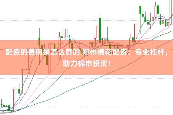配资的费用是怎么算的 郑州棉花配资：专业杠杆，助力棉市投资！