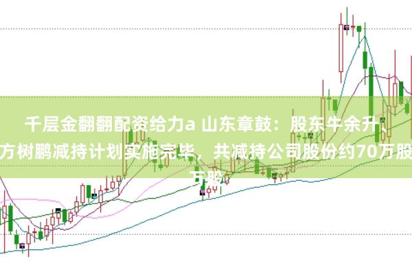 千层金翻翻配资给力a 山东章鼓：股东牛余升、方树鹏减持计划实施完毕，共减持公司股份约70万股