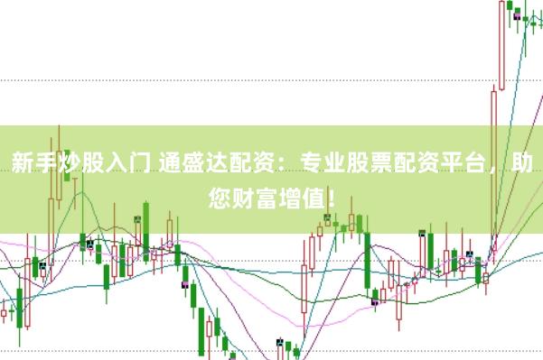新手炒股入门 通盛达配资：专业股票配资平台，助您财富增值！