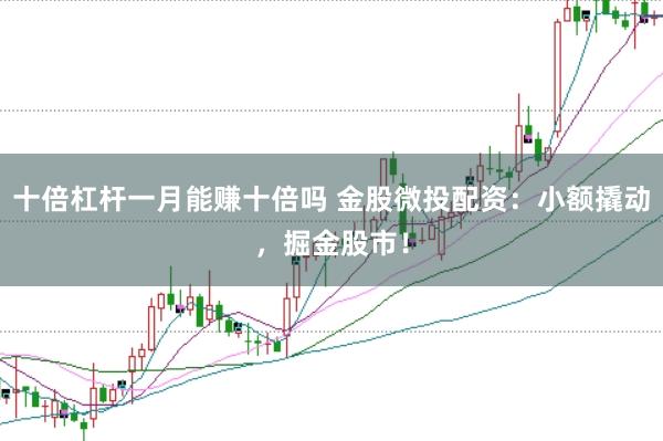 十倍杠杆一月能赚十倍吗 金股微投配资：小额撬动，掘金股市！