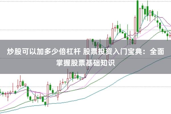 炒股可以加多少倍杠杆 股票投资入门宝典：全面掌握股票基础知识