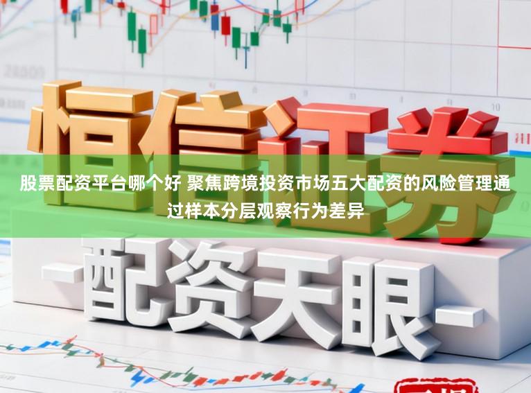 股票配资平台哪个好 聚焦跨境投资市场五大配资的风险管理通过样本分层观察行为差异