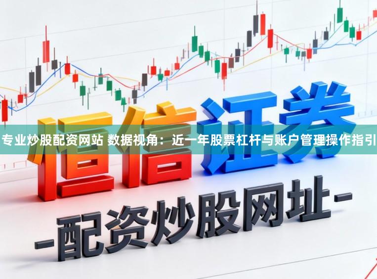 专业炒股配资网站 数据视角:近一年股票杠杆与账户管理操作指引