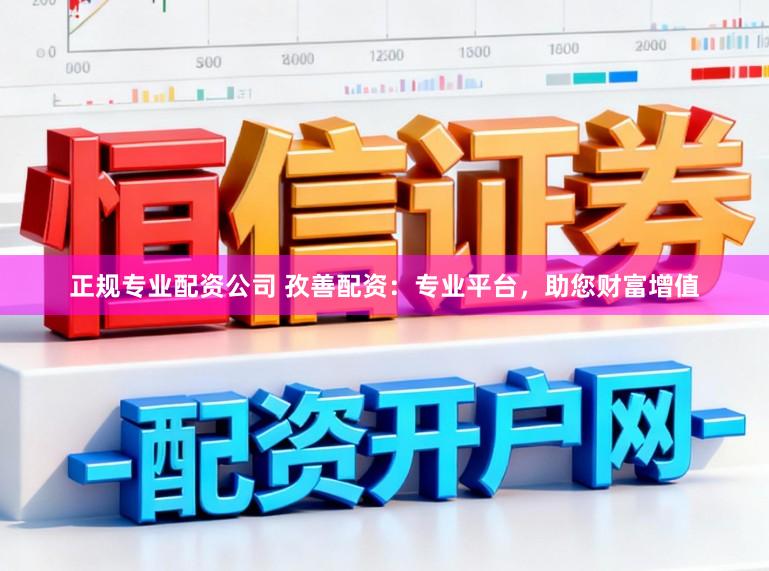 正规专业配资公司 孜善配资:专业平台,助您财富增值